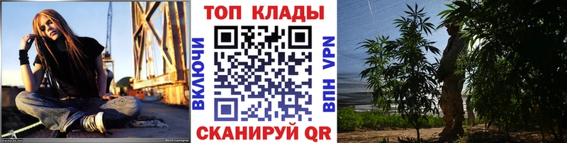 Где можно купить наркотики Всеволожск Конопля  LSD-25  Гашиш  СОЛЬ  Меф мяу мяу  COCAIN 