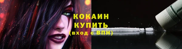 дмт Медногорск
