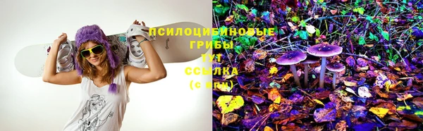 MDMA Медвежьегорск
