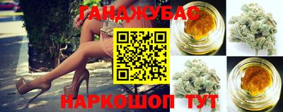 крисы Волжский