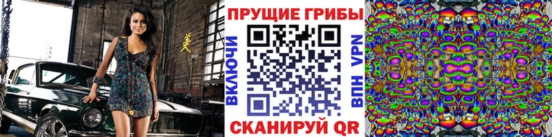 Псилоцибиновые грибы MAGIC MUSHROOMS  купить наркоту  Всеволожск 