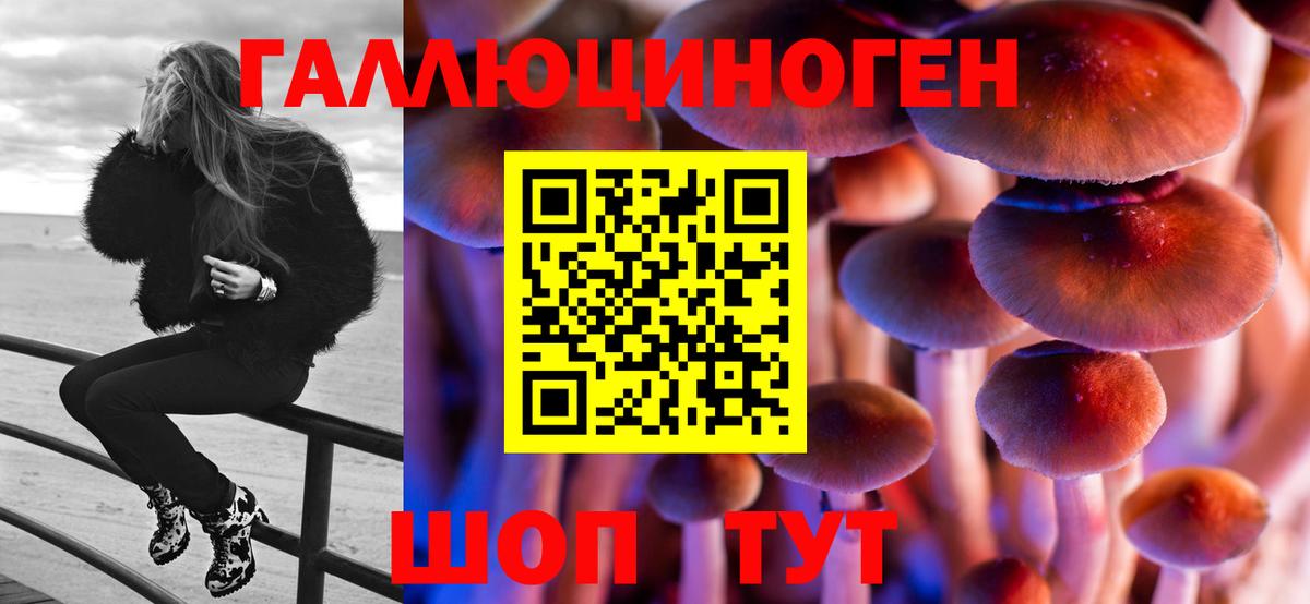 Галлюциногенные грибы прущие грибы Всеволожск