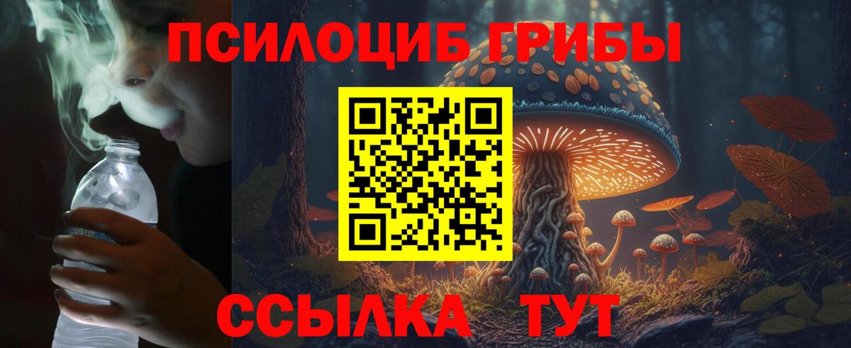 Всеволожск  Псилоцибиновые грибы Magic Shrooms  как найти закладки  Галлюциногенные грибы GOLDEN TEACHER  Вход с VPN 