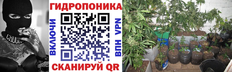 Бошки Шишки Amnesia Всеволожск
